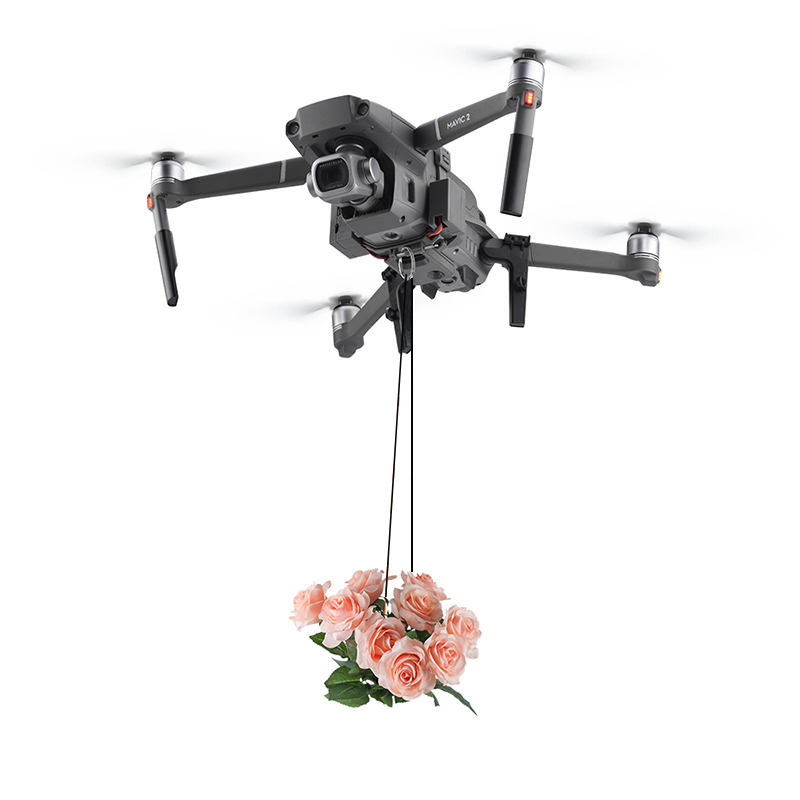 Система каплевидной подарочной – обзор и цена Drone Rc N2